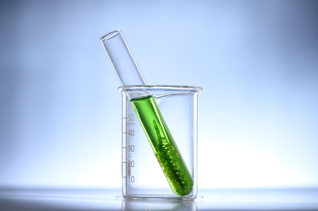New fused NiII porphyrin dimers were synthesized