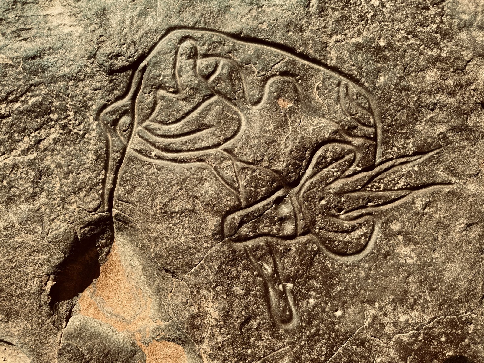 Beyond human kinship