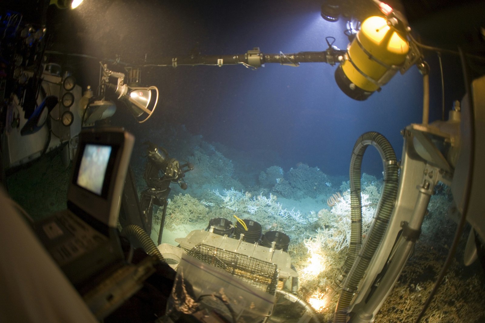 Spatial changes in a Scotian Slope cold seep reveal complex seepage