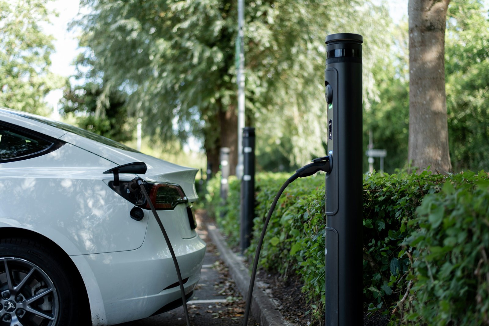 FCEV subsidies mainly shift sales from other ZEVs