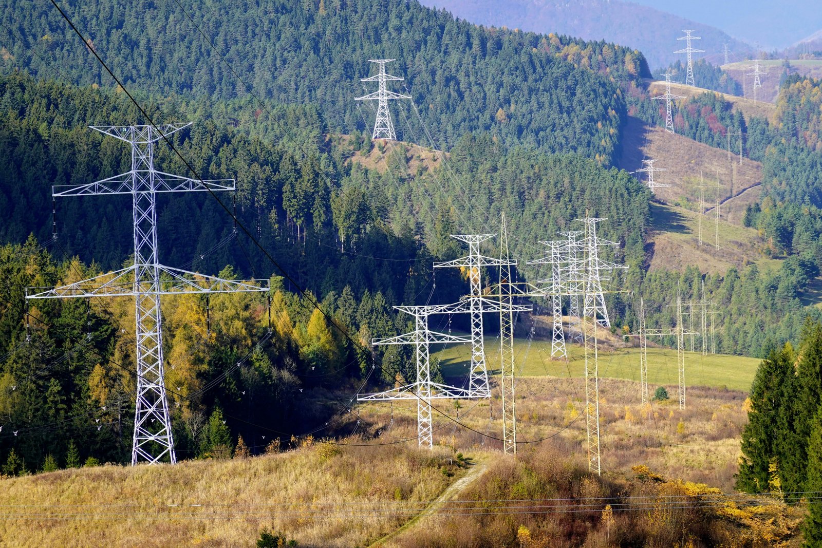 Predictive price signals may help manage grid bottlenecks