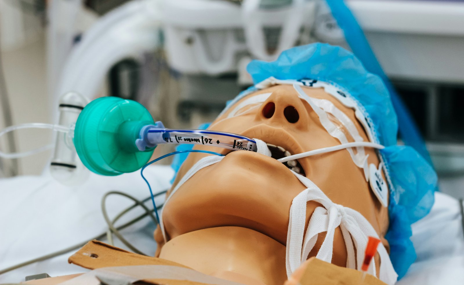 Commentary supports respiratory therapist-led donor lung management