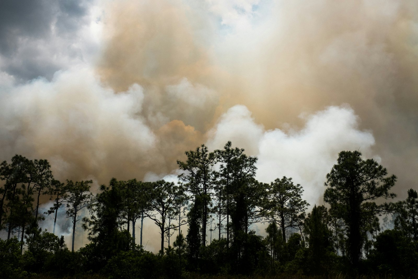 D13.3 Analysis of boreal forest fires