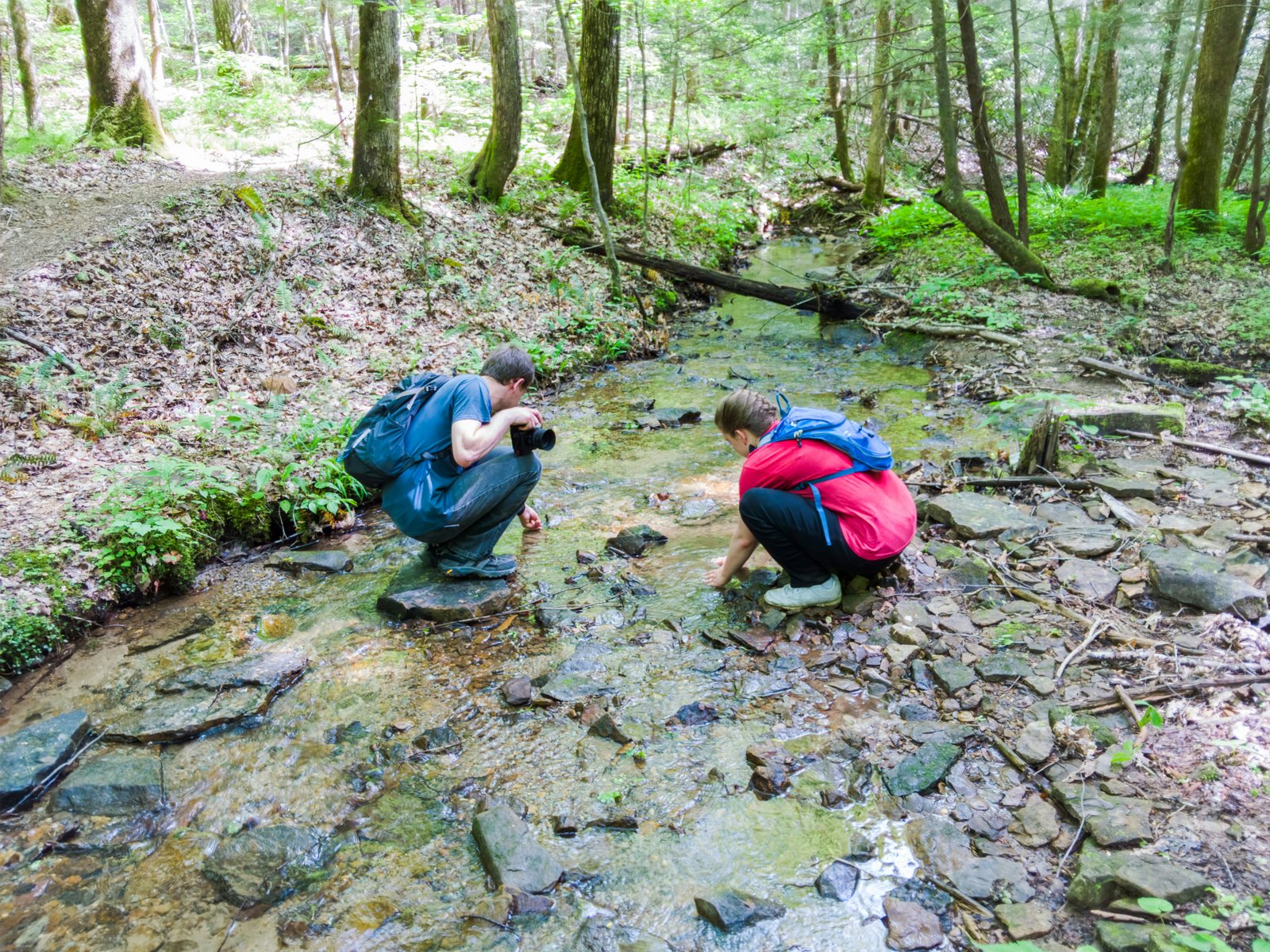 Nine recommendations for improving biodiversity measurement
