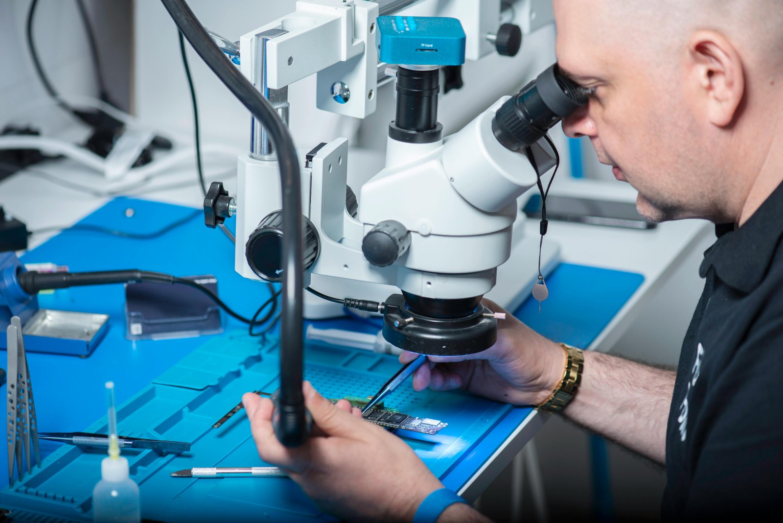 Review compares academic and commercial liver-on-a-chip models