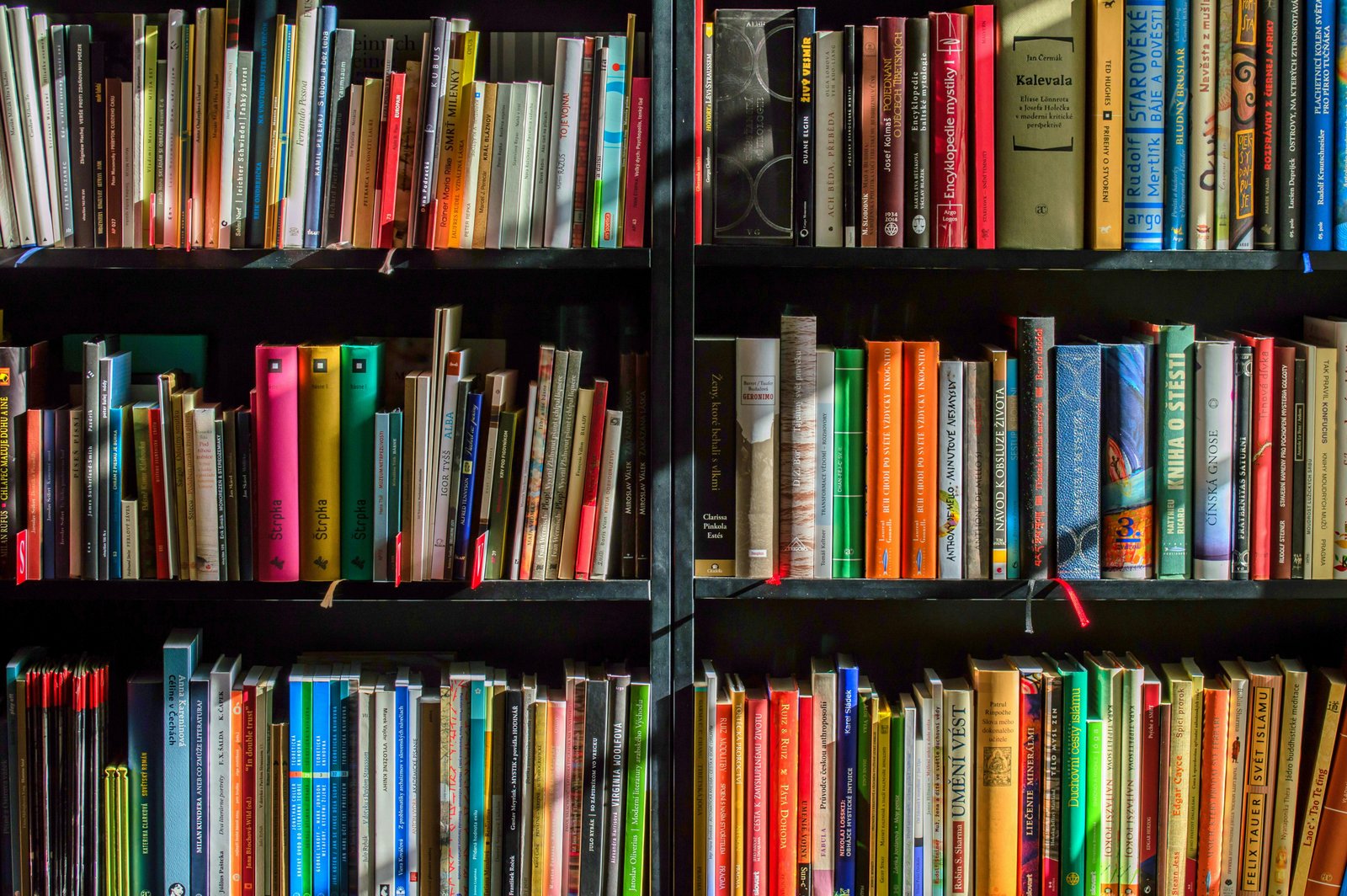 Argument presented for the law of non-contradiction