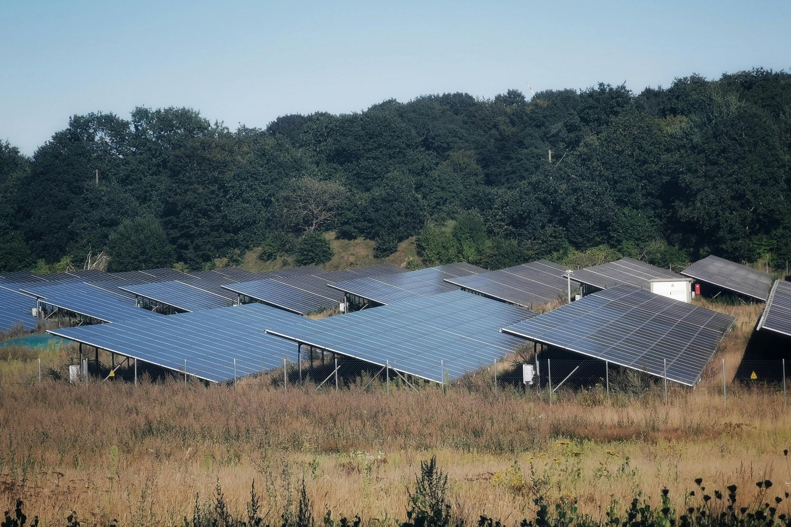 Eco-coherent fiscal and energy policies are linked to lower pollution costs