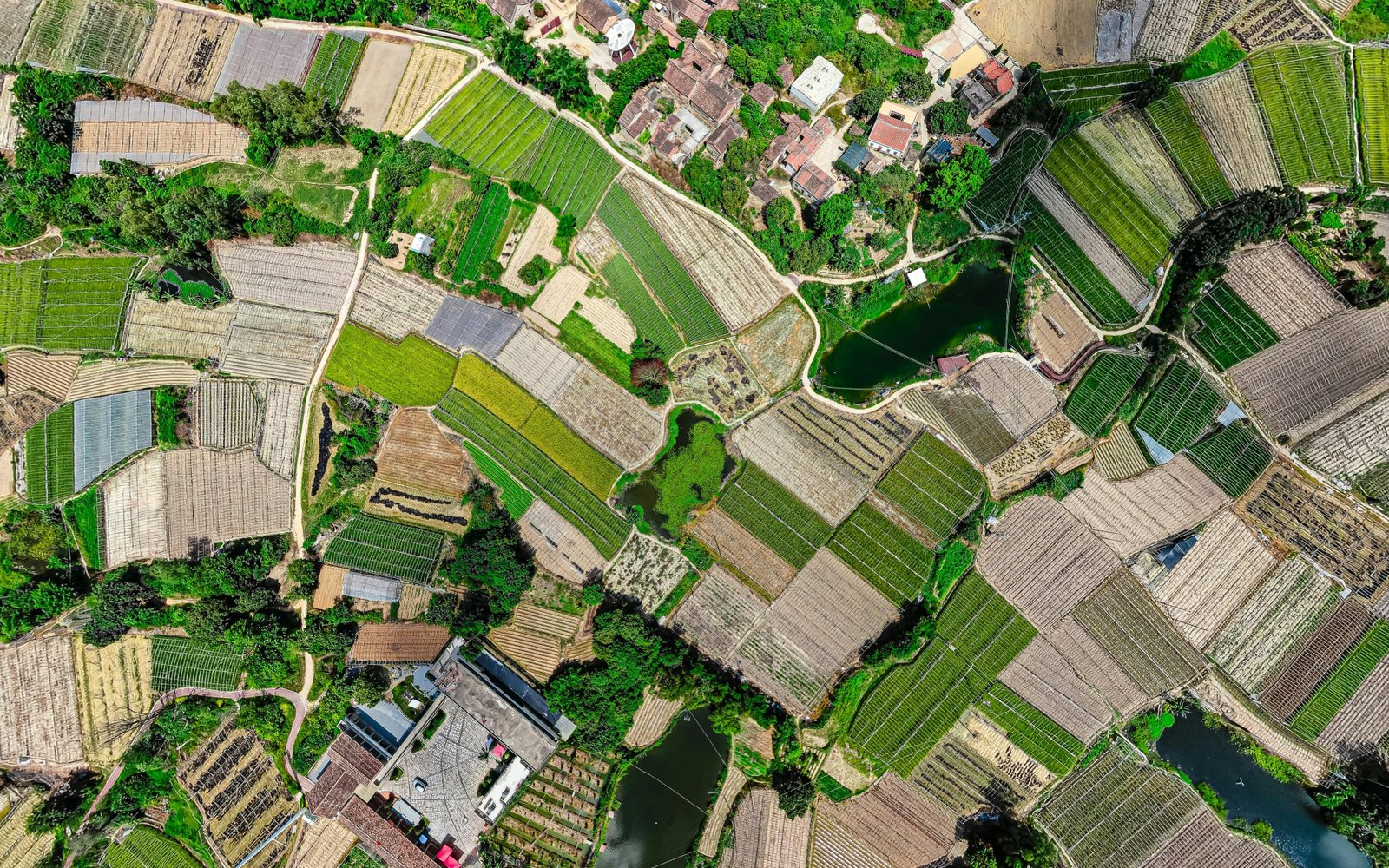 Framework proposed for feasible, equitable land-based climate mitigation
