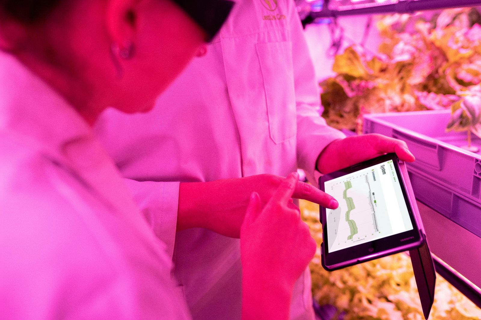 Blockchain can support traceability in agri-food systems