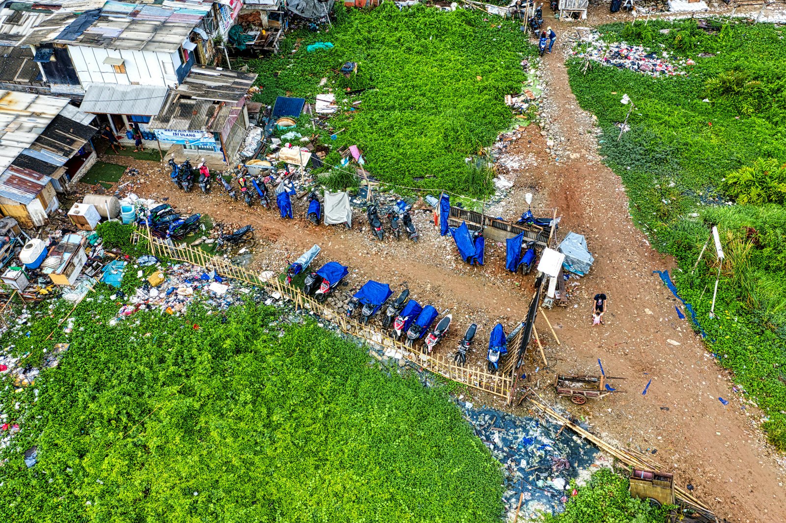 Adaptive capacity and resident characteristics predict willingness to participate in sanitation programs