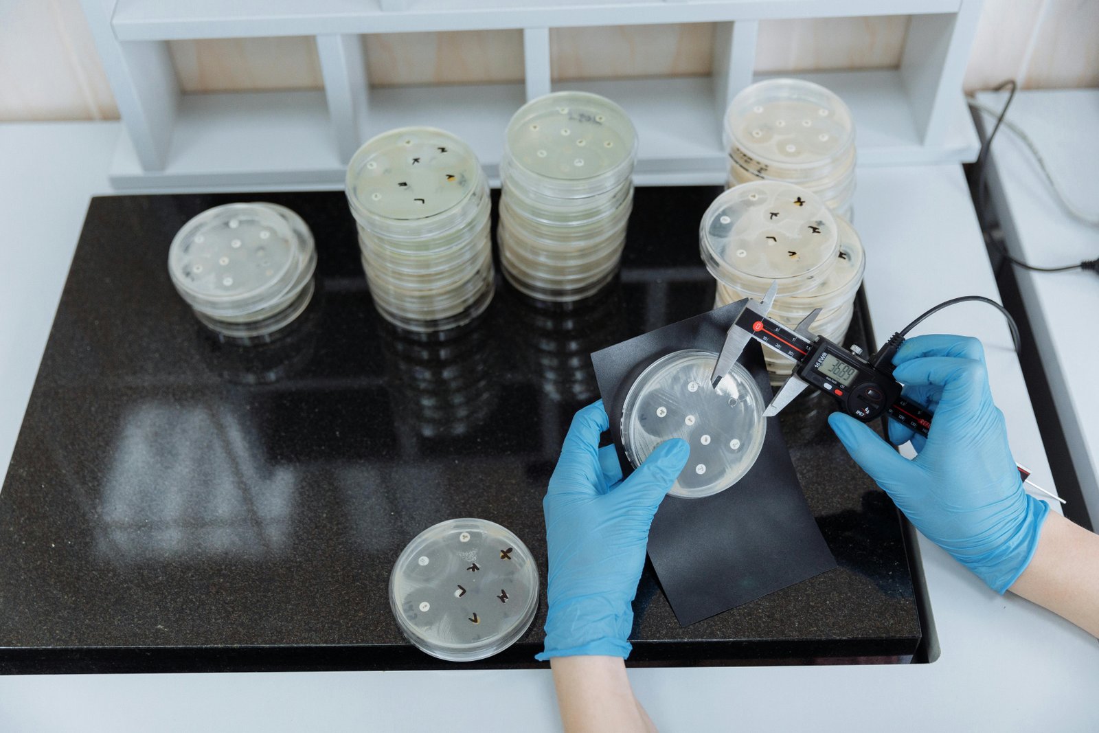 A person wearing blue nitrile gloves examines a petri dish containing what appears to be bacterial or polymer samples in a laboratory setting, with multiple stacked petri dishes and culture plates visible on a black laboratory mat.