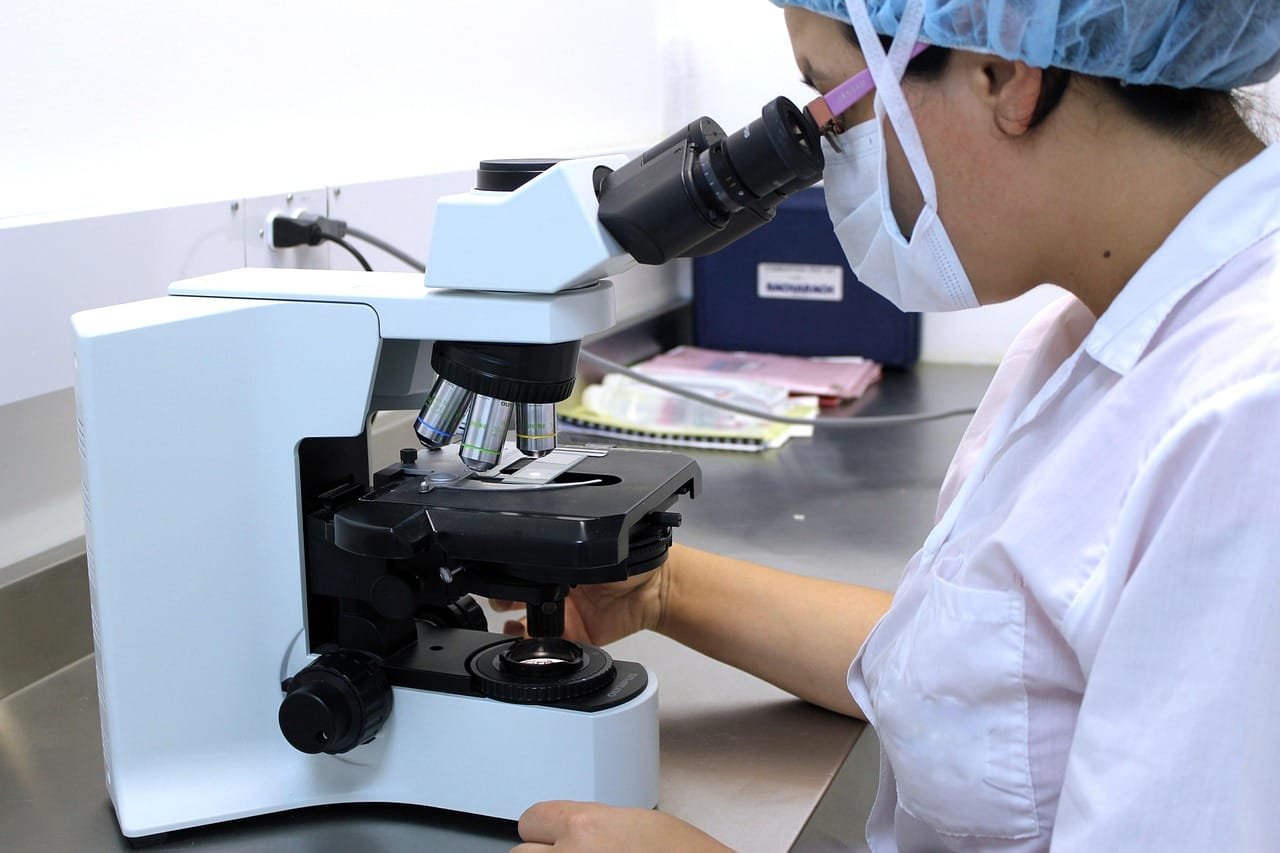 EICP improved freeze-thaw resistance of Yili loess