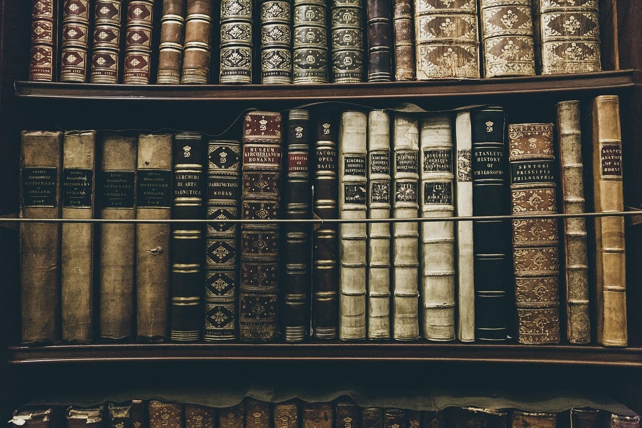 Political theory is presented as essential to analyzing political systems