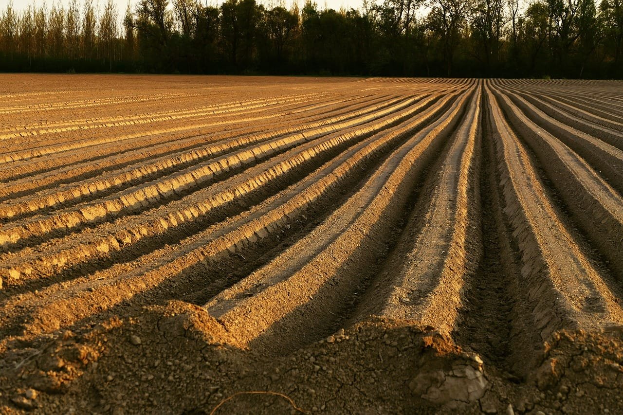 Ukrainian soil scientists’ contributions are presented as foundational