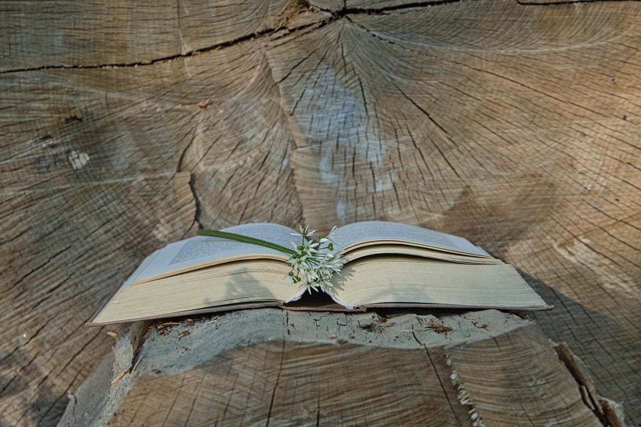Poetry and philosophy overlap in several ways