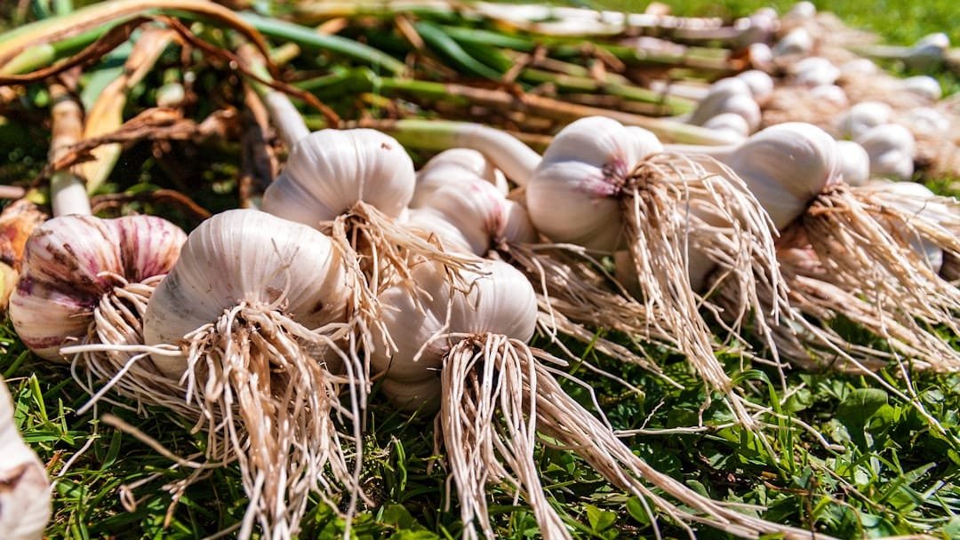 Agricultural and Biological Sciences research