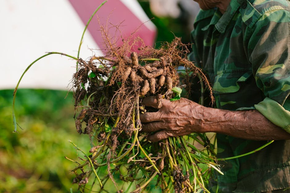 Agricultural and Biological Sciences research