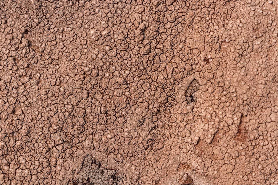 Earth and Planetary Sciences research