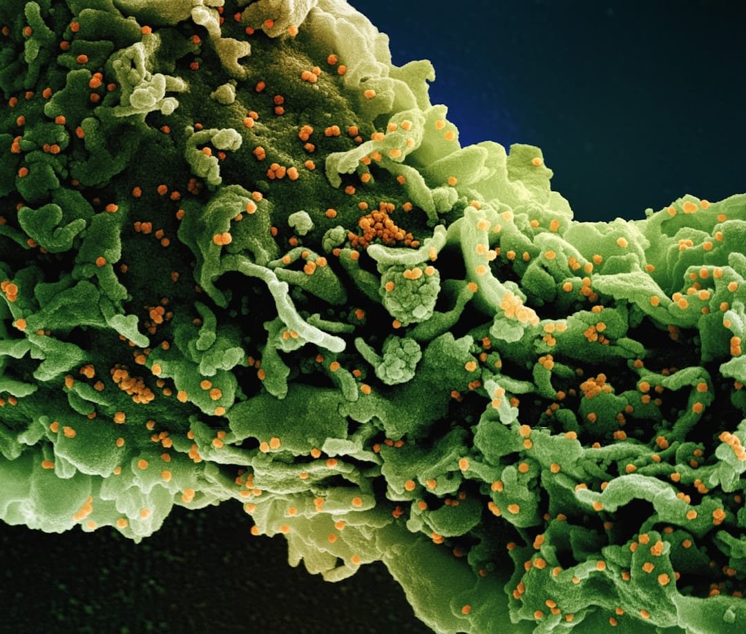 Immunopeptidome profiling identified fibrosis-associated peptides in pulmonary fibrosis