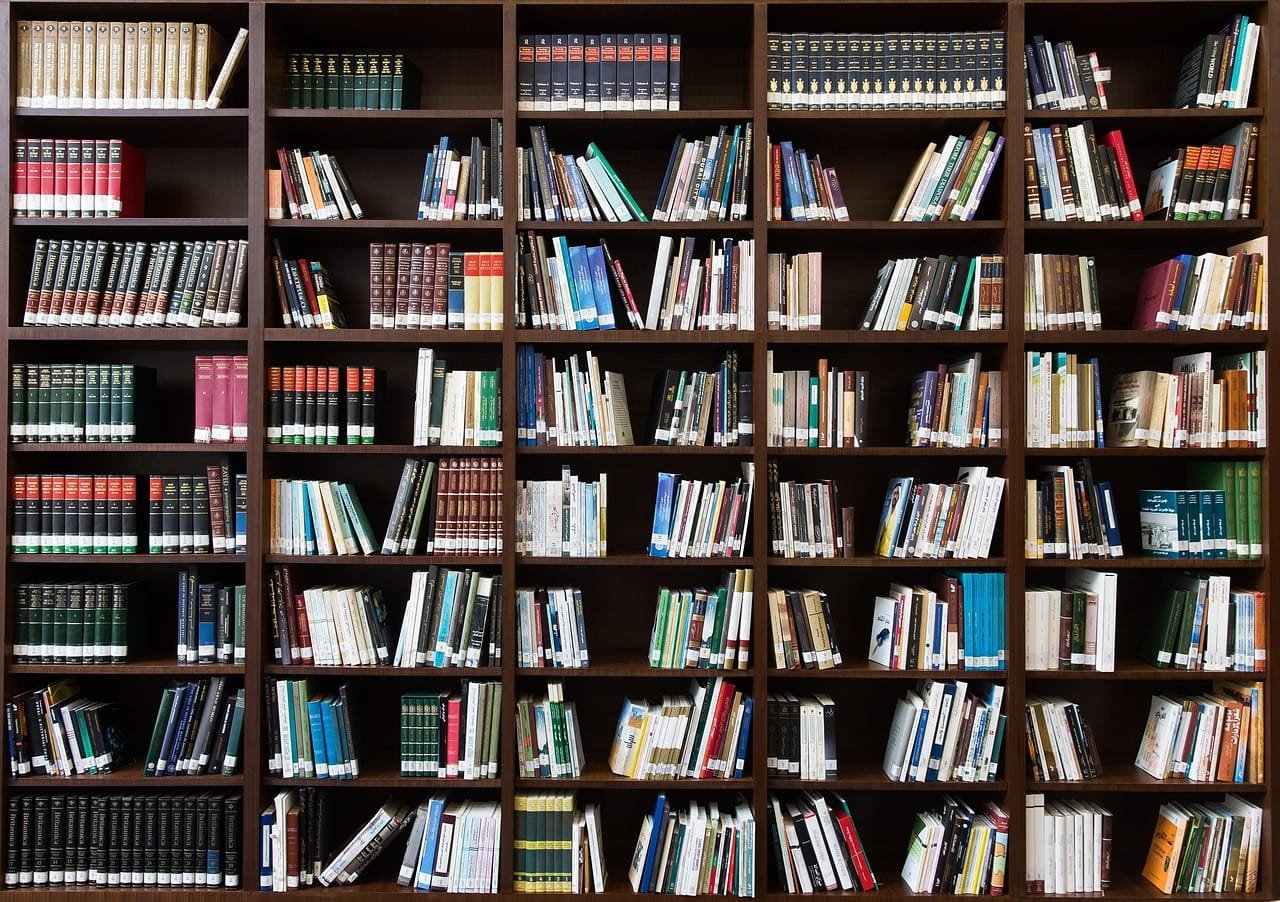 Article examines positionality in literary translation