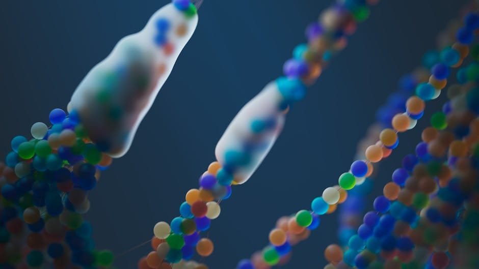 Mechanical load reduces cancer cell growth in heart tissue