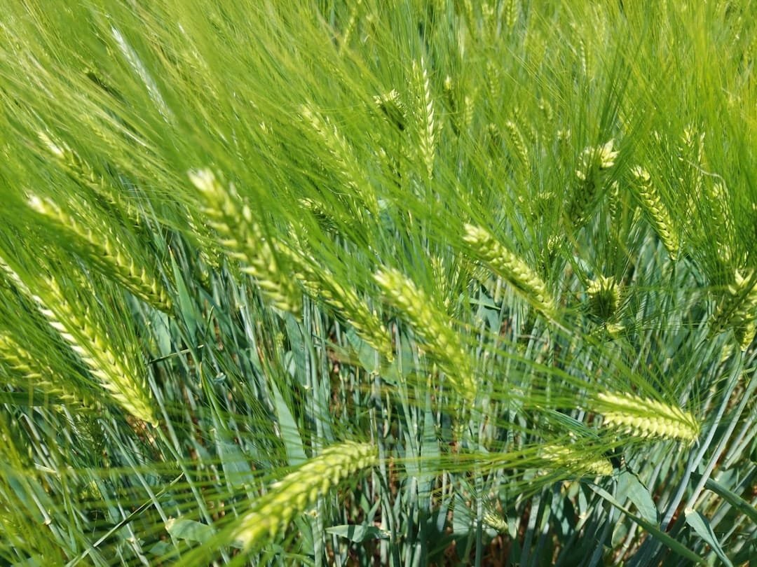 Agricultural and Biological Sciences research