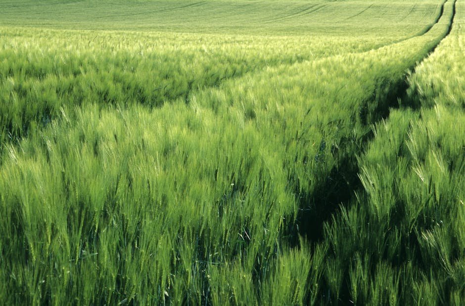 Agricultural and Biological Sciences research