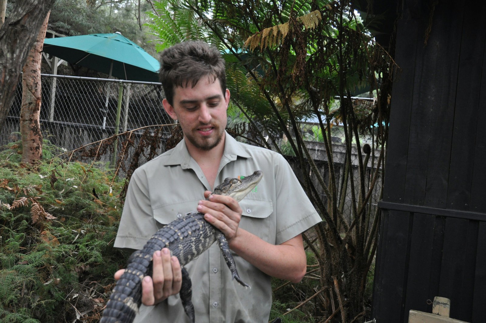 Two enzyme assays validated for stress monitoring in rehabilitated pangolins