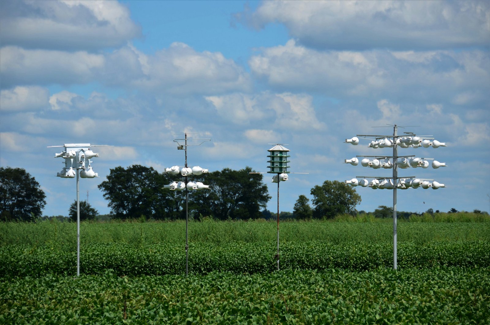 Index links land humidity trends to precipitation and temperature