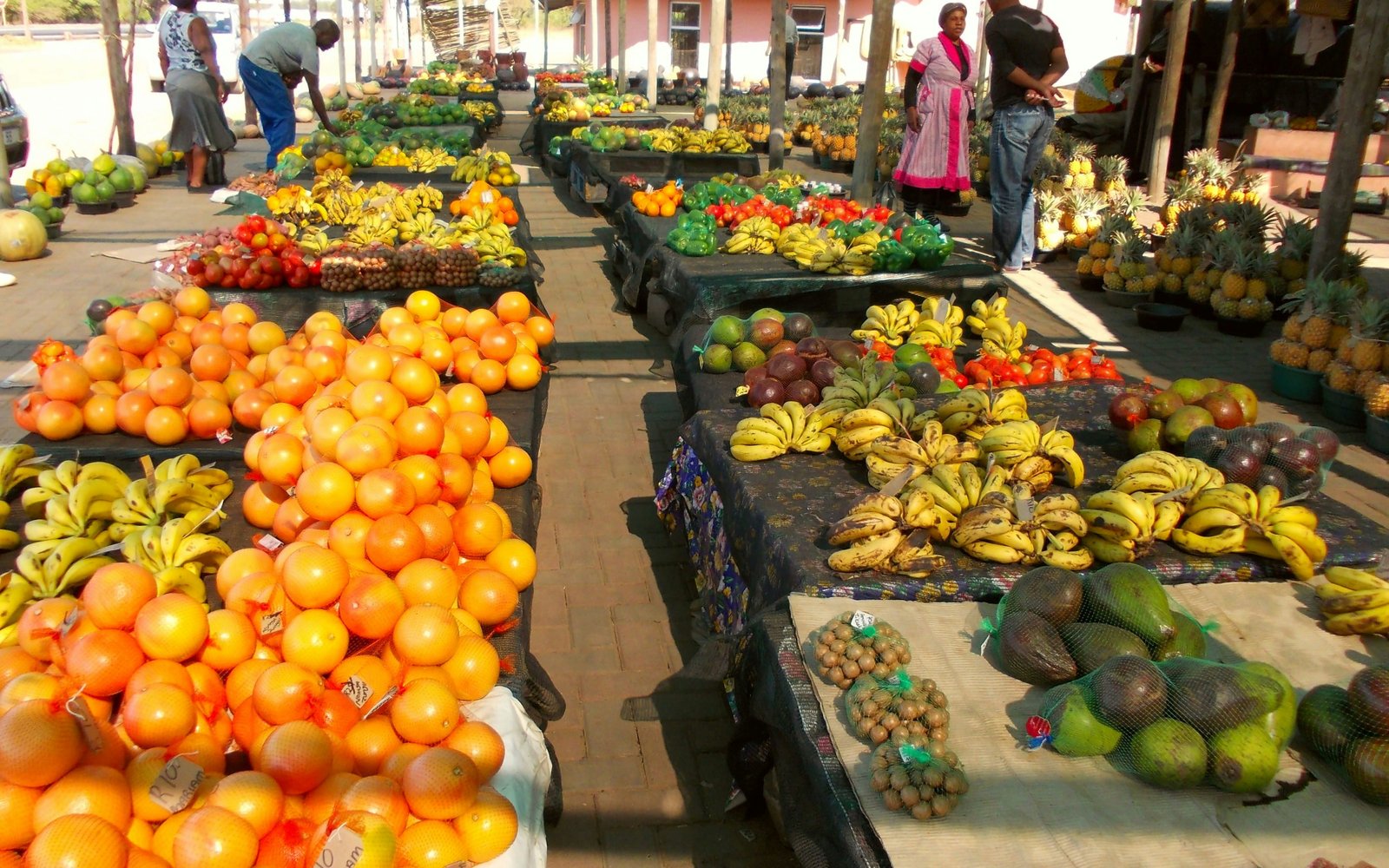 Food security indicators gave divergent estimates in South Africa