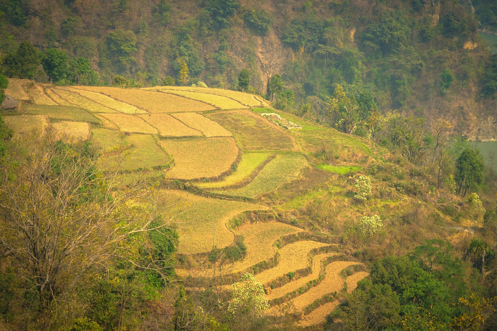 Projected climate change alters crop water stress in Ethiopia