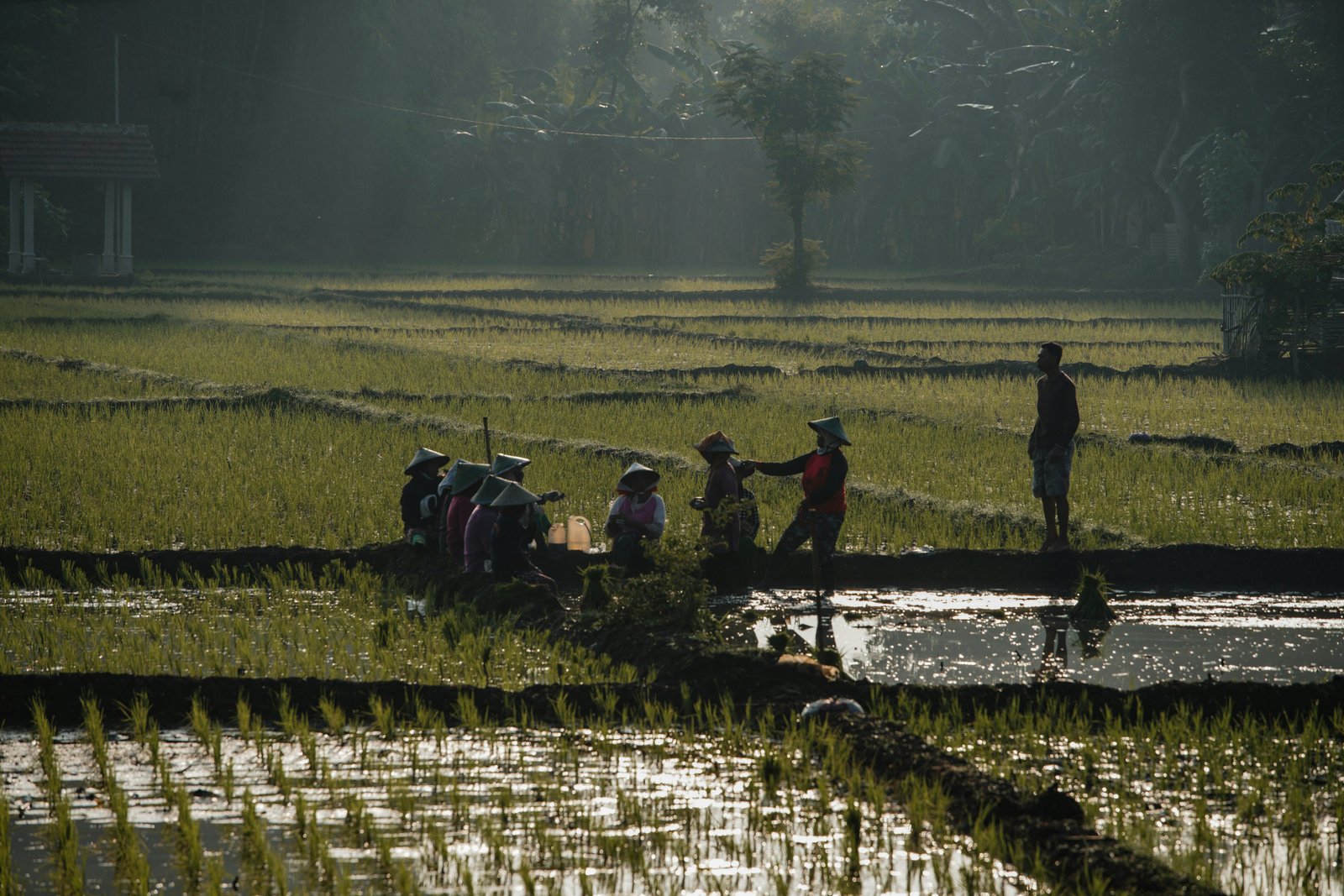 Wartime food prices rose sharply during the Indonesian War of Independence
