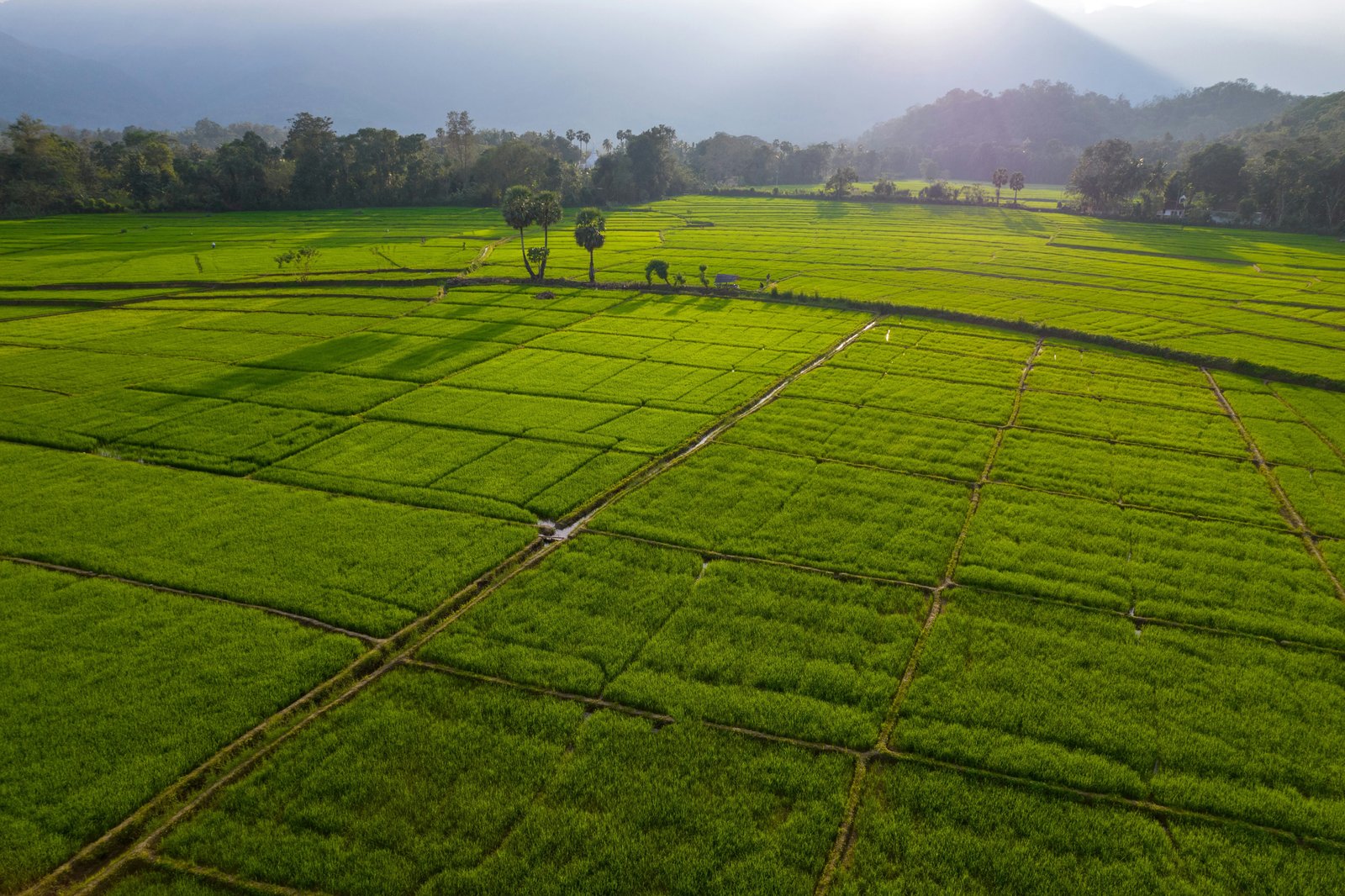 Village clustering helps localize sustainability planning in Nagpur region