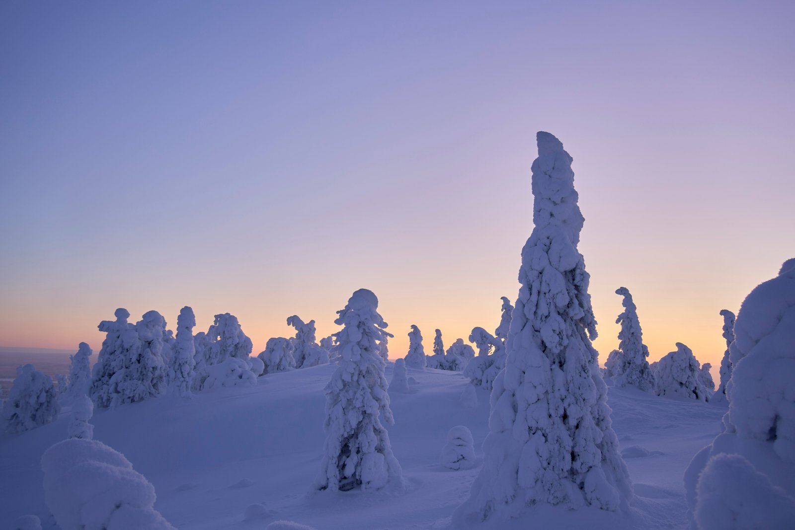 Ice- and peat-rich permafrost degraded gradually on Eboling Ridge